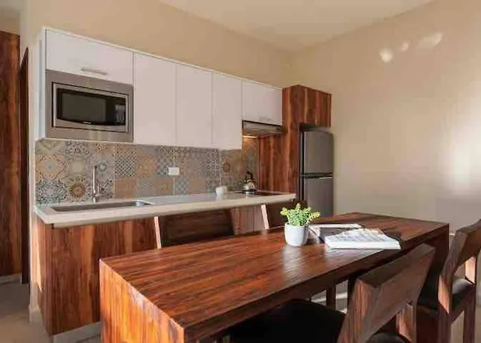 Lujoso Departamento Con Jacuzzi Privado