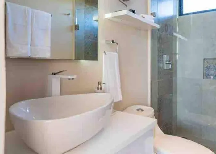 Lujoso Departamento Con Jacuzzi Privado *