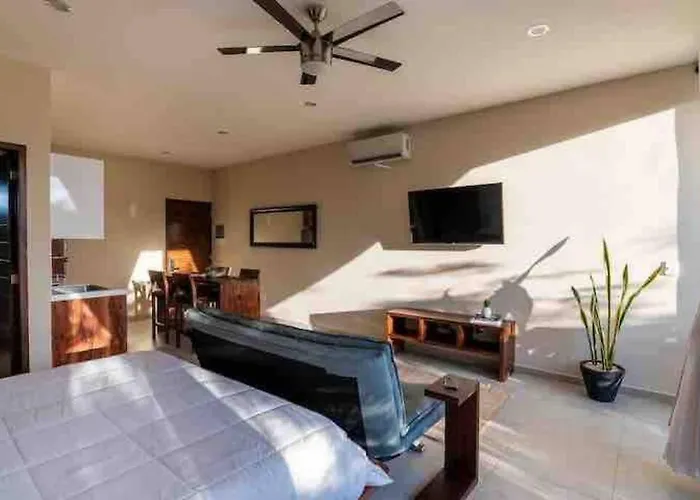 Lujoso Departamento Con Jacuzzi Privado *