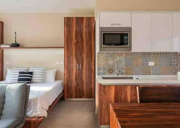 Lujoso Departamento Con Jacuzzi Privado Appartement *